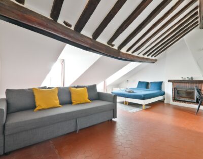 Luxurious Studio – 4P – Saint Michel notre Dame 2