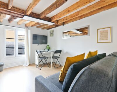 Luxurious Studio – 2P – Saint Michel notre Dame 4