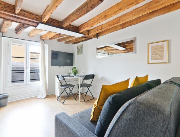 Luxurious Studio – 2P – Saint Michel notre Dame 4